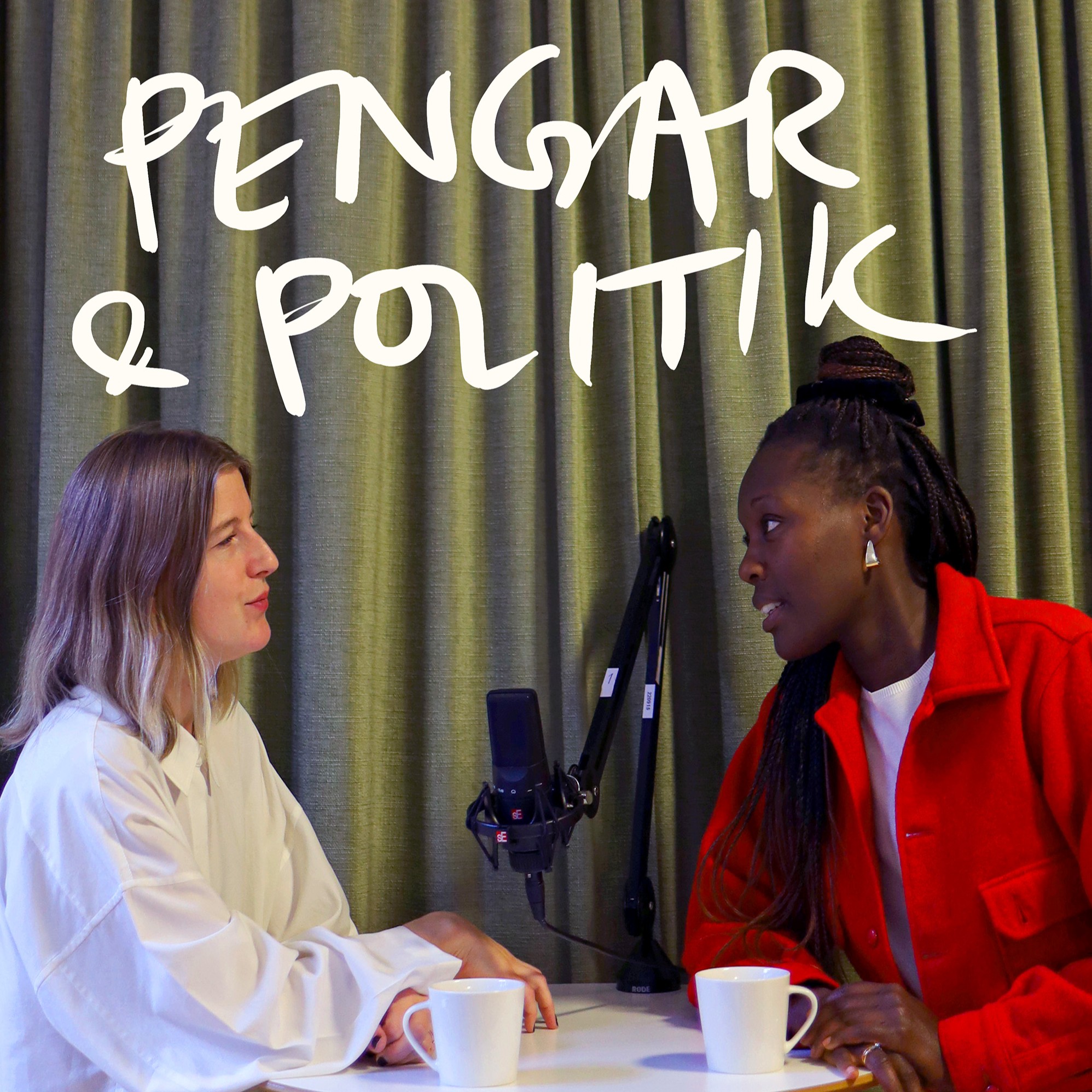 Pengar & politik